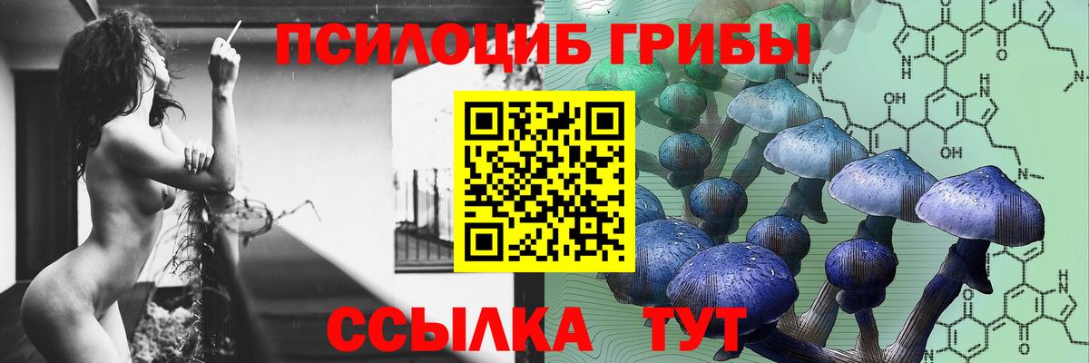  COCAIN Губкин