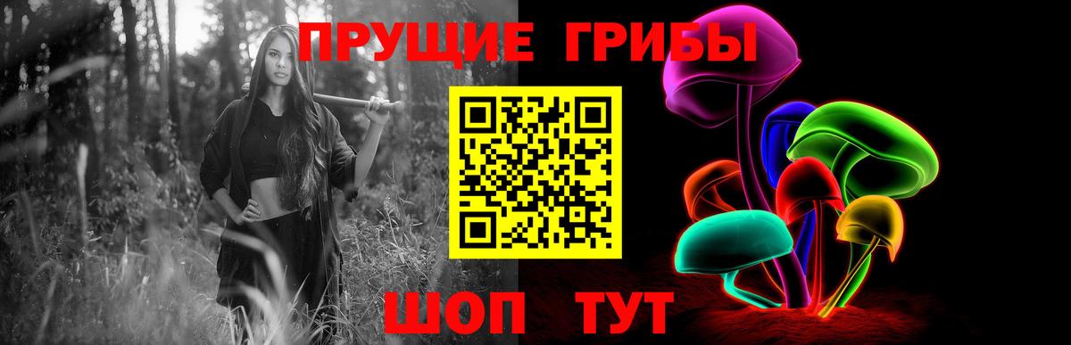 Псилоцибиновые грибы мухоморы Губкин